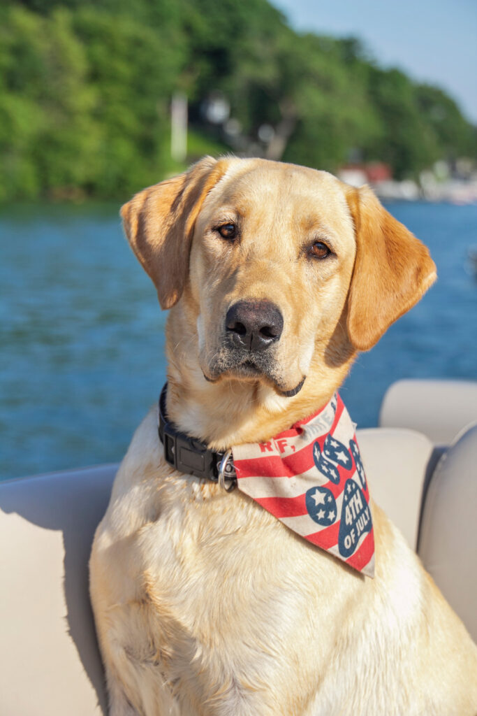 Celebrating National Love Your Pet Day 3 Bal-Mascot-EllieMae