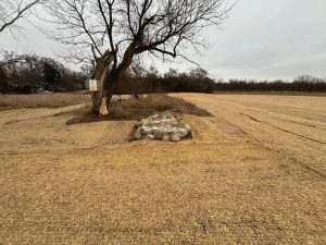 IMG_0269