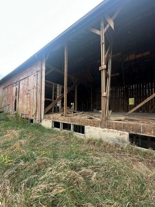 IMG_9328
